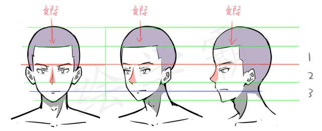 绘学霸:关于人体头部的概括以及三庭五眼到底是什么? zhuanlan.zhihu.
