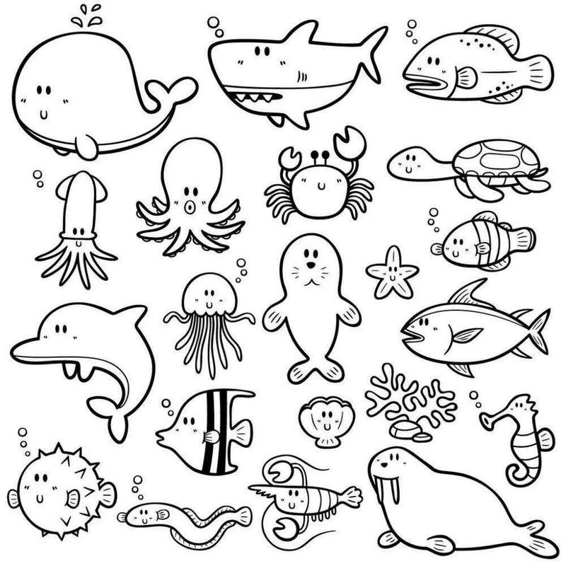 海洋动物简笔画大全929292 90909090海洋动物简笔画