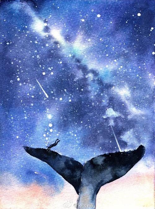 鲸鱼与星空