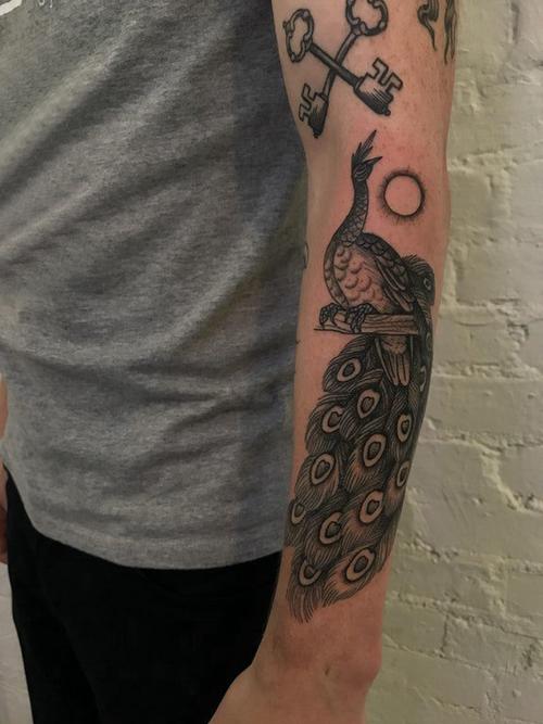 孔雀毛纹身男生手臂上黑色的孔雀纹身图片