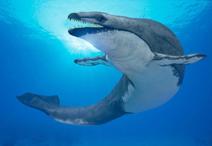 电影巨齿鲨主角并不孤单盘点五种已灭绝的史前海洋巨兽