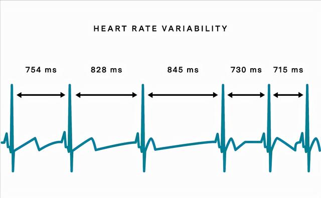 我们在电视中看到的心电图场景,正是通过心脏跳动时,产生的电信号转化