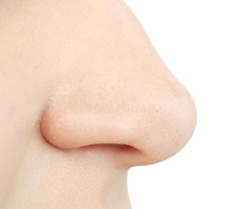 人的鼻子照片