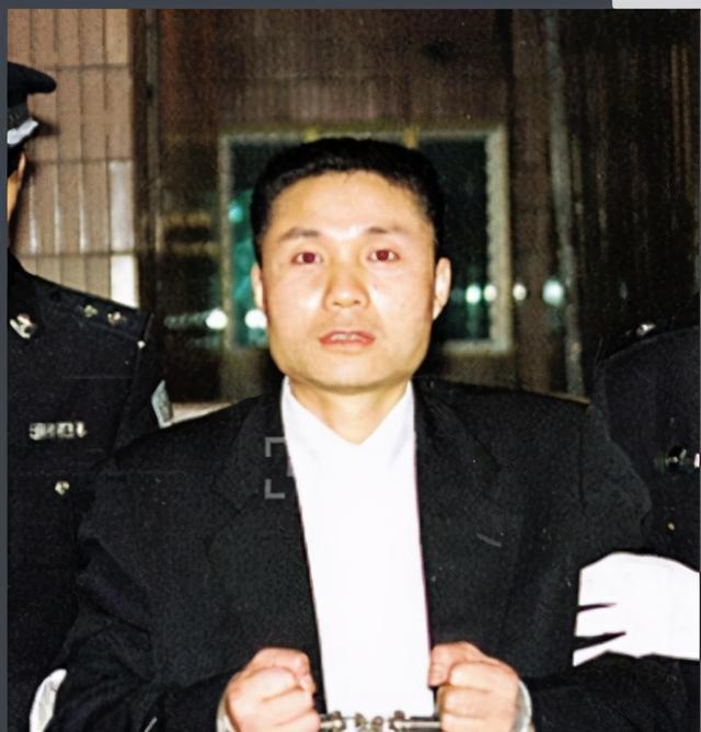 大案纪实——《大案实录:震惊中国的刑事重案》悍匪张君