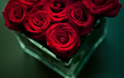 red flowers, bouquets, roses, vase, bokeh 750x