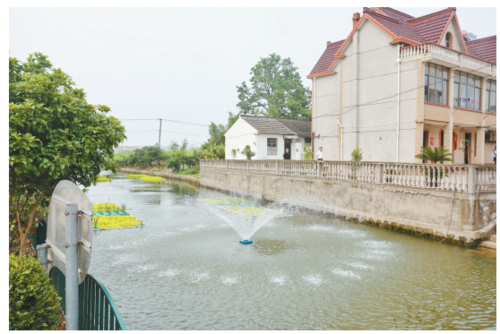 新场镇新南村在河道中布置喷泉净水装置,既能净化河水又能美化环境.