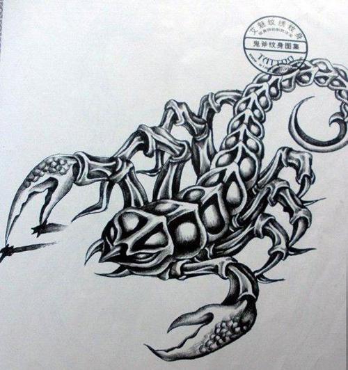 个性蝎子纹身手稿