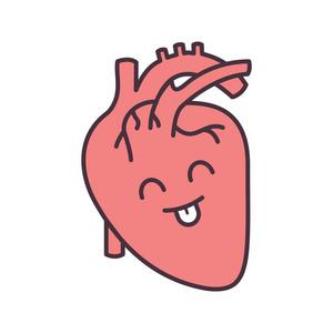 心血管系统健康. 健康的内部器官. 孤立矢量插图照片