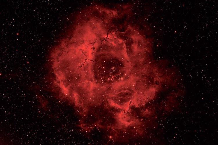 宇宙级别的浪漫玫瑰星云ngc2237