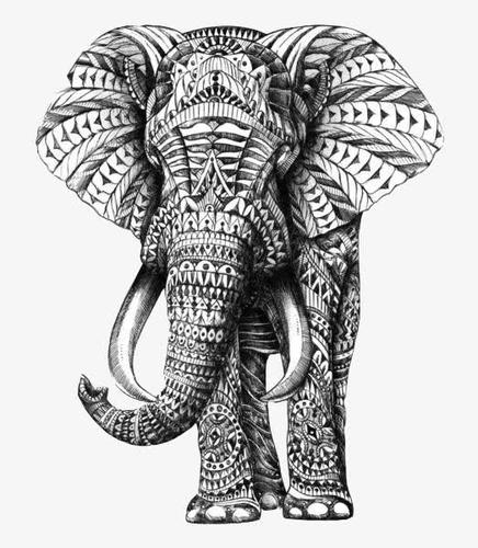 手绘大象素材图片