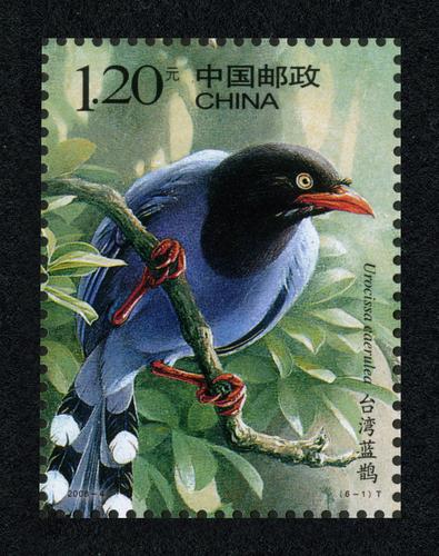 中国鸟(t)|邮票目录|邮来邮网