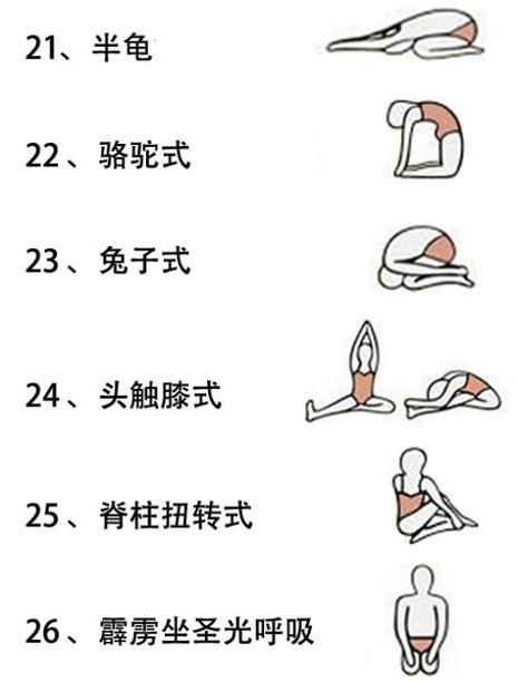 瑜伽经典动作26式图片演示全套高温瑜伽26式