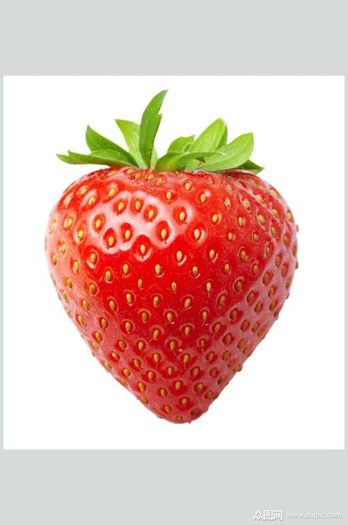 超清美味草莓免扣摄影图素材