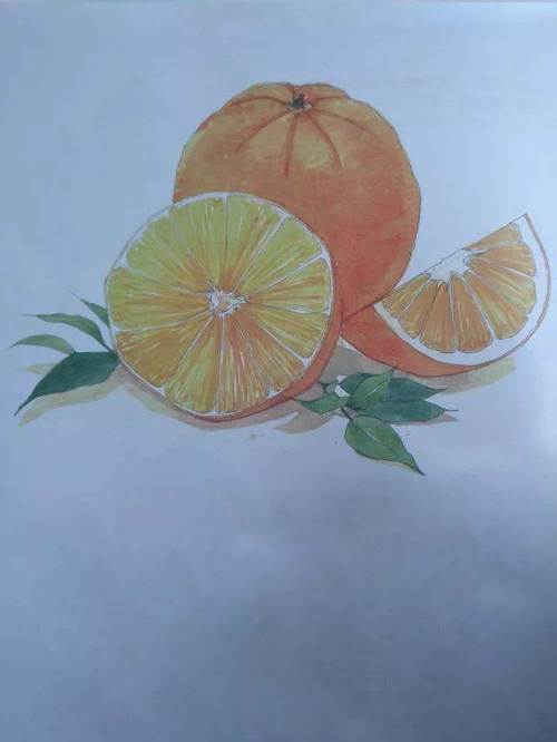 橙子的水彩画色彩橙子的画法