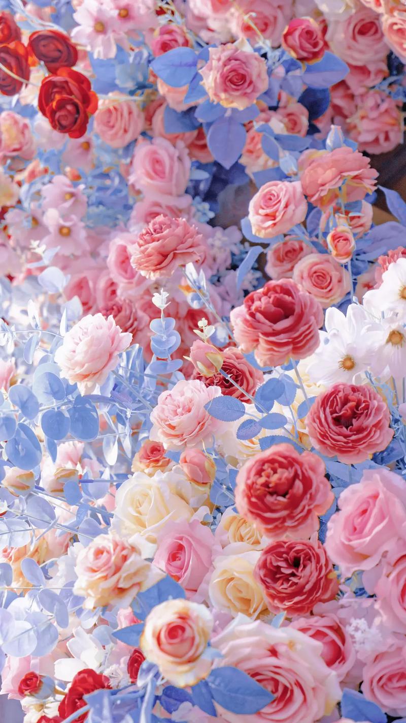 拜托,被人艾特来看这粉色蔷薇花真的是超级浪漫,超级幸福的好嘛 - 抖