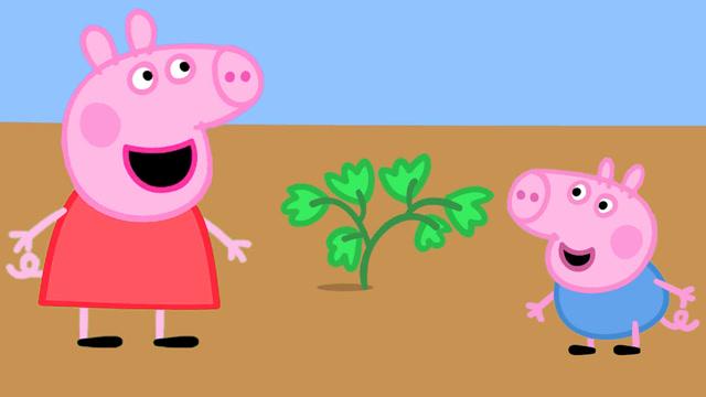 小猪佩奇一家去猪奶奶家玩,佩奇和乔治种的草莓种子发芽长大了