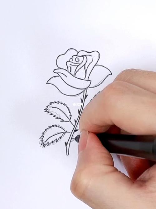 果然带刺的玫瑰才最好美…#绘画  #简笔画  #玫瑰  #花朵  #育儿