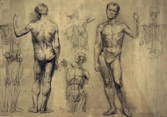 列宾美院素描人体双人组合.解剖是一切的基础#美术生 #好的作 - 抖音
