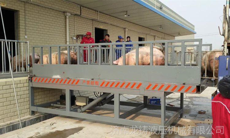 龙铸机械黑龙江省双鸭山市屠宰场卸猪台2020年装猪台加工厂定做加工