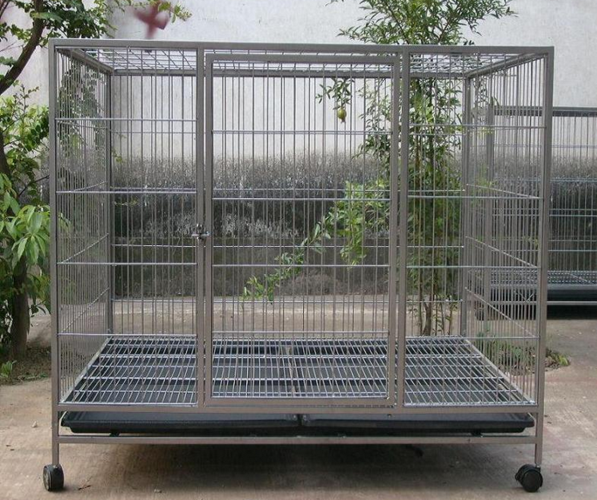 连云港大型狗笼焊接网狗笼可移动的宠物笼