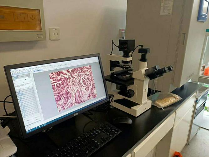 倒置生物显微镜结缘中科院青藏高原研究院