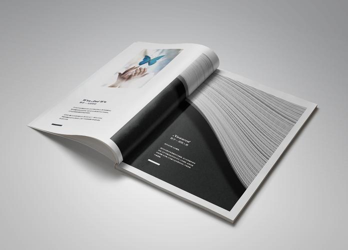 一希品牌设计--卡梅隆艺术文化学校画册设计宣传册设计|平面|宣传品|