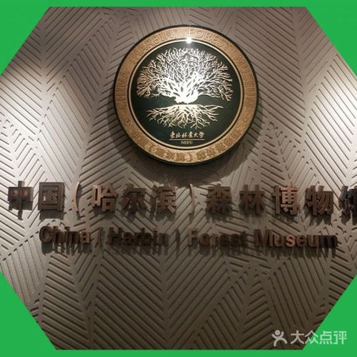 森林博物馆中国(哈尔滨)森林博物馆图片-北京博物馆-大众点评网