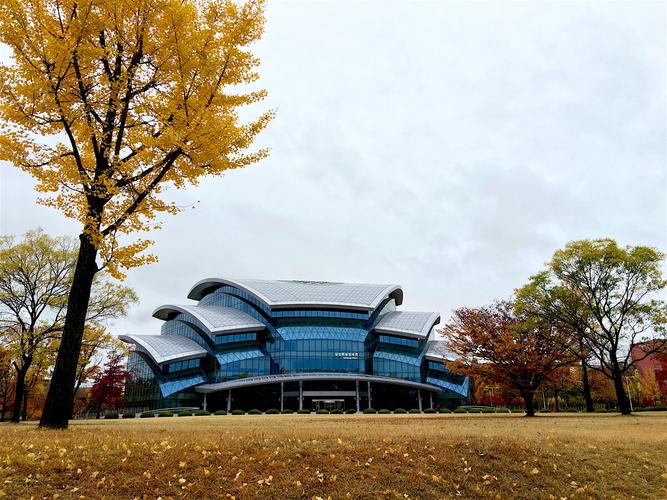 手机拍摄 秋天的成均馆大学