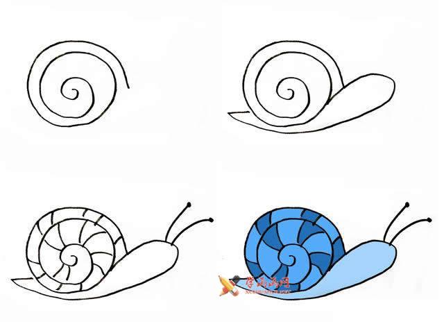 10幅蜗牛的简笔画画法教程大全
