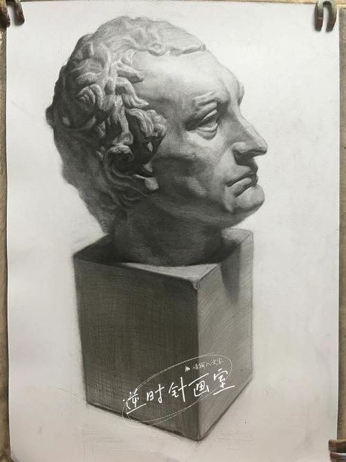 上海画室  #上海美术联考  #网课  #素描石膏像  #塔头素描