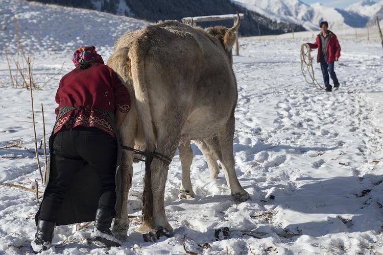 伊犁冬窝子里的牧民生活_旅游_poco摄影,哈萨克牧民,冬窝子,新疆摄影