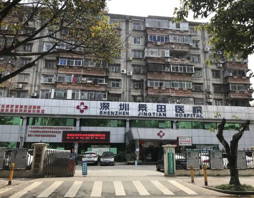 项目一路之隔即是景田医院,东北方向1公里左右为北京大学深圳医院.