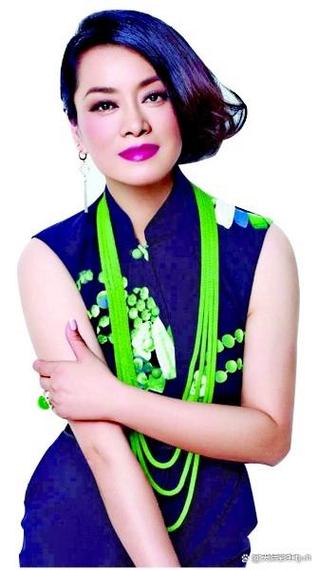 中国内地流行乐女歌唱家,演员毛阿敏