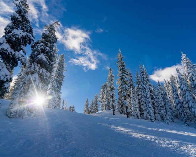 冬天,厚厚的雪,树木,阳光 壁纸 - 1280x1024