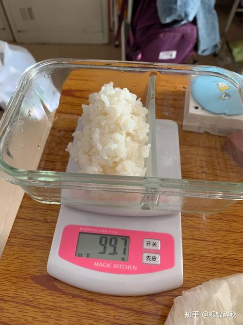 100g煮熟的米饭到底有多少? - 知乎