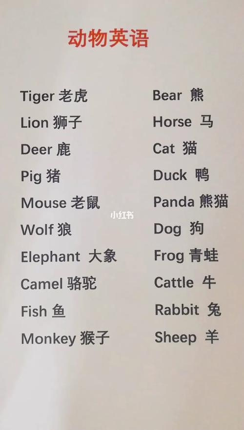 动物的英语单词