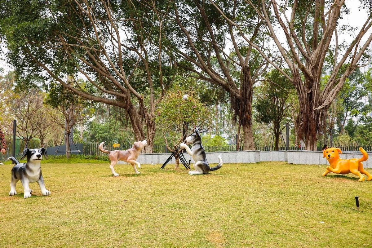 深圳首个交通安全和宠物主题公园开放 仿佛身处小人国