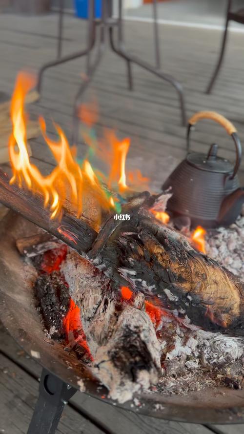 原生态围炉烤火真木材和五彩火