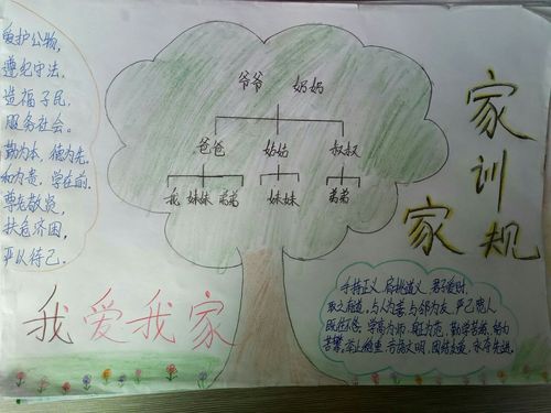 杨安镇高文曲小学六年级绘制家谱手抄报
