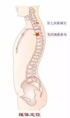 图文详解胸椎颈椎腰椎骨棘突定位