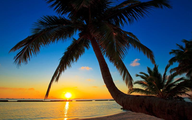 壁纸 帕尔马,马尔代夫,日落,海滩,海,棕榈树