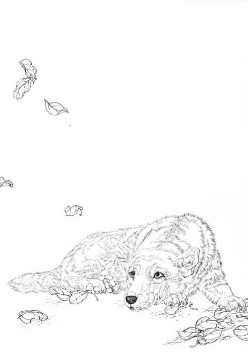 名犬白描图15幅