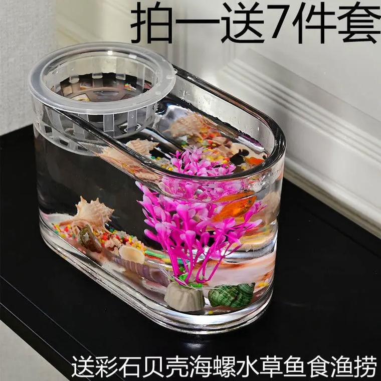 小鱼缸一次成型小鱼缸透明玻璃养孔雀鱼简约客厅办公桌摆放创 - 抖音