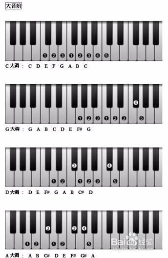 钢琴键盘为什么分七段钢琴键盘示意图