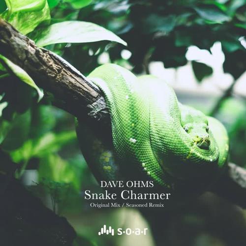 snake charmer(seasoned remix)