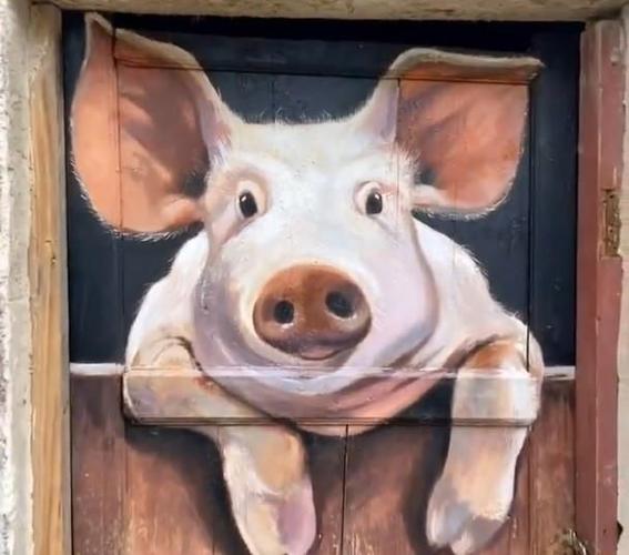 美术生在农村画一头猪,趴在门上太逼真,几乎做到了以假乱真