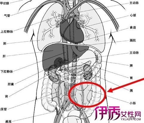 一,慢性左下腹隐痛:1,生殖器慢性炎症:女性长时间发生腰骶部疼痛,下腹