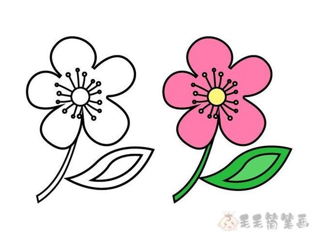 简笔画教程绘画吧-画画春天的花朵涂色填色大全-红豆饭小学生简笔画