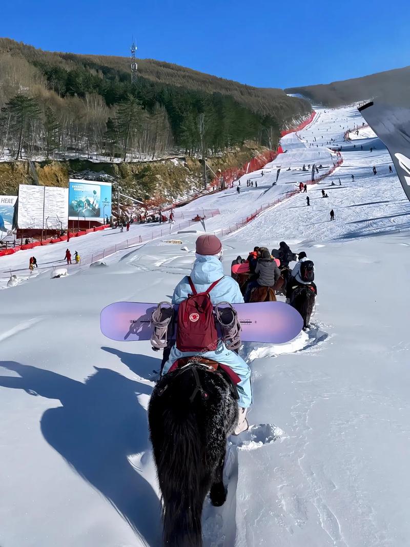 辽宁鞍山|新千山滑雪场官宣11月28号正式开板,刚刚上线了第 - 抖音