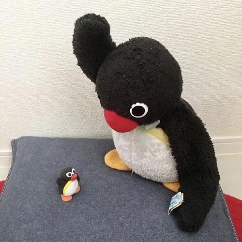 求这个小企鹅的相关头像